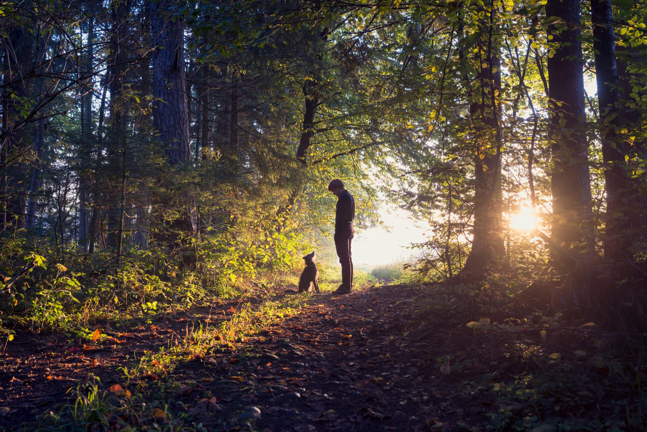 A man with a dog in the woods.